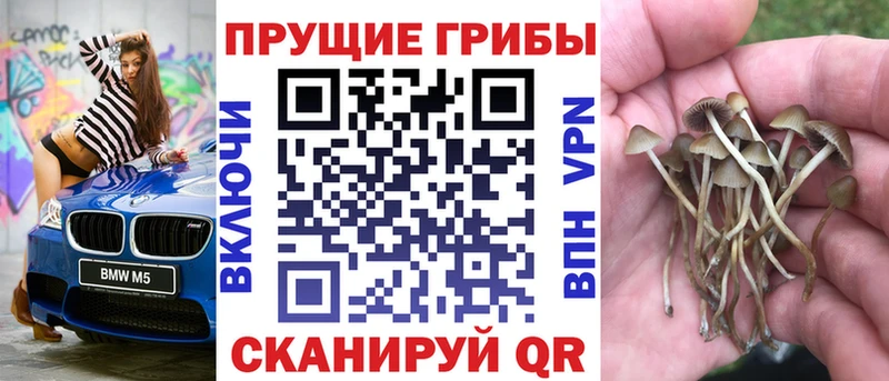 Купить закладки  Строитель  Галлюциногенные грибы прущие грибы